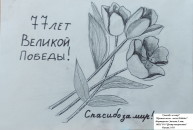 Изображение #1141